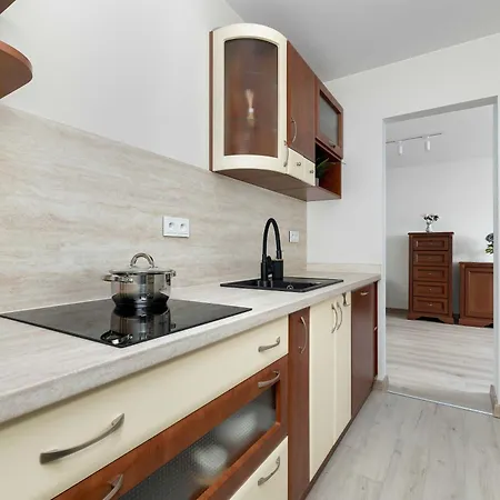 Apartament Elegant In Center With Desk And View By Renters Katowice