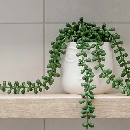 Elegant In Center With Desk And View By Renters Apartament *