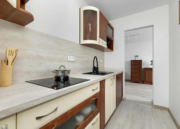 Apartman Elegant In Center With Desk And View By Renters Katowice