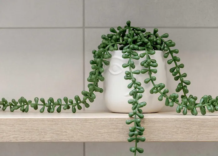 Elegant In Center With Desk And View By Renters Apartment *